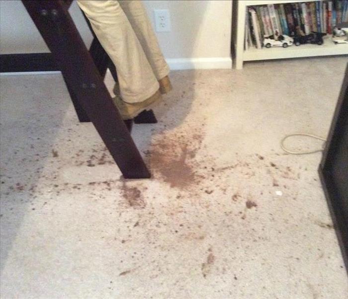 Carpet Staining Cleanup