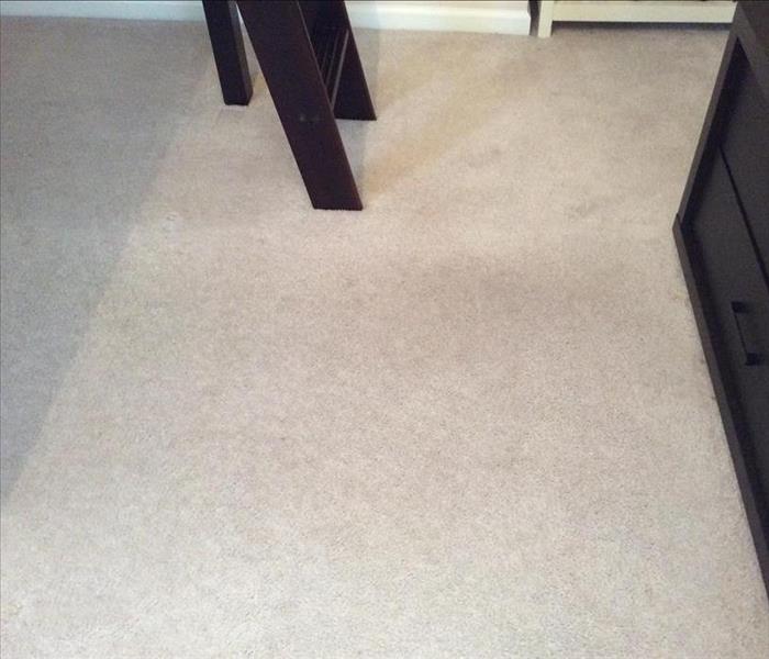Cleaned Carpet after Staining