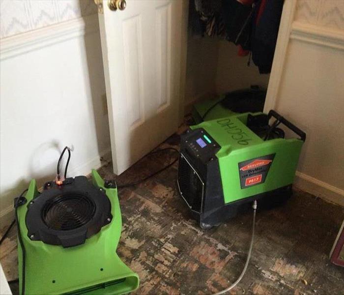 Green drying equipment in Greenville home.