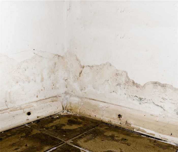 Discoloration is seen on a wall, possibly indicating hidden water damage.